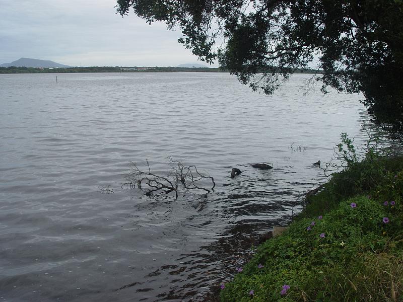 manningpoint 009.jpg